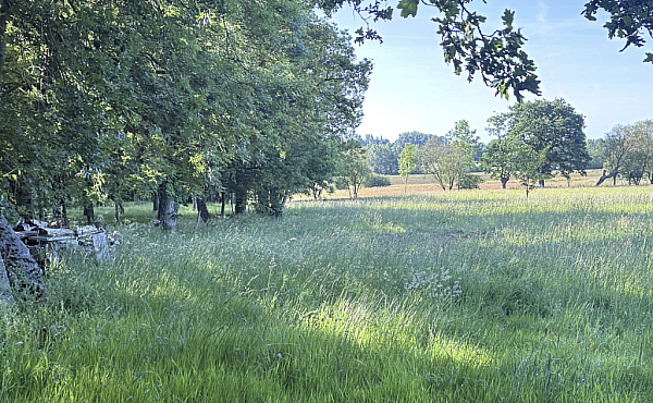 Property_For_Sale_in_France_with_Cle_France_Join_our_mailing_List_BHJ04115_1.46
