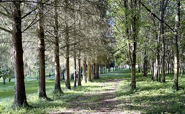 Property_For_Sale_in_France_with_Cle_France_Join_our_mailing_List_BHJ04115_1.49