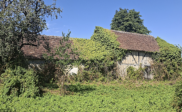 Farm House to Restore in the Normandy Countryside