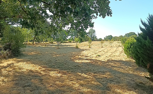 Property_For_Sale_in_France_with_Cle_France_Join_our_mailing_List_AXL06204_69