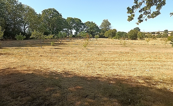 Property_For_Sale_in_France_with_Cle_France_Join_our_mailing_List_AXL06204_70