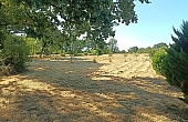 Property_For_Sale_in_France_with_Cle_France_Join_our_mailing_List_AXL06204_69