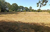 Property_For_Sale_in_France_with_Cle_France_Join_our_mailing_List_AXL06204_70