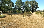 Property_For_Sale_in_France_with_Cle_France_Join_our_mailing_List_AXL06204_71