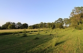 Property_For_Sale_in_France_with_Cle_France_Join_our_mailing_List_DJV06204_319