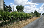 Property_For_Sale_in_France_with_Cle_France_Join_our_mailing_List_AMR00135_0703_120155