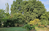 Property_For_Sale_Cle_France_AXL06108_8.21