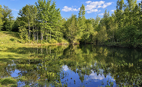Magnificent Plot of Land with Small Lake