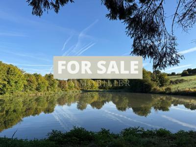 Lake with Wooded Land For Sale in Normandy