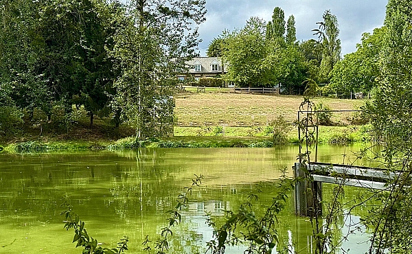 Property_For_Sale_in_France_with_Cle_France_Join_our_mailing_List_DJV06298_a