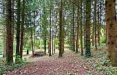 Property_For_Sale_in_France_with_Cle_France_Join_our_mailing_List_DJV06298_o