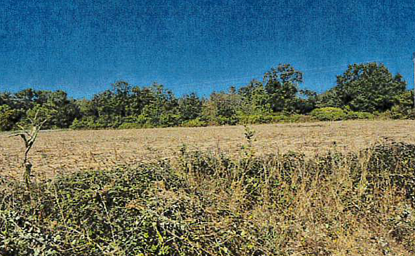 Property_For_Sale_in_France_with_Cle_France_Join_our_mailing_List_CLA00110_3.23