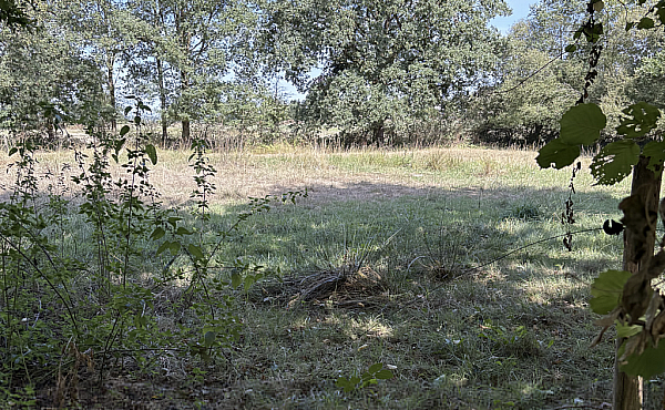Property_For_Sale_in_France_with_Cle_France_Join_our_mailing_List_BHJ04129_7.31