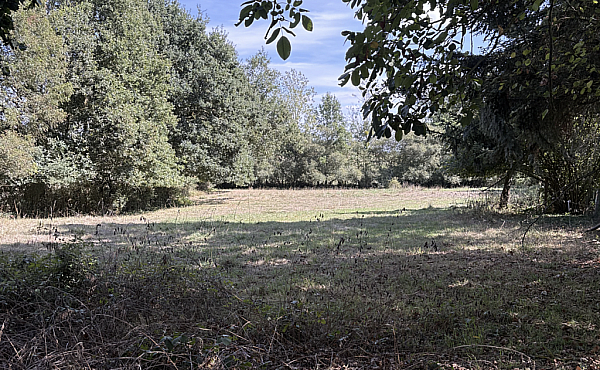 Property_For_Sale_in_France_with_Cle_France_Join_our_mailing_List_BHJ04129_7.33