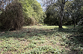 Property_For_Sale_in_France_with_Cle_France_Join_our_mailing_List_BHJ04129_7.28