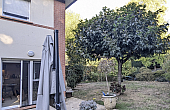 Property_For_Sale_in_France_with_Cle_France_Join_our_mailing_List_AXL06296_2.31