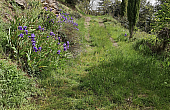 Property_For_Sale_in_France_with_Cle_France_Join_our_mailing_List_PSD00105_6.25