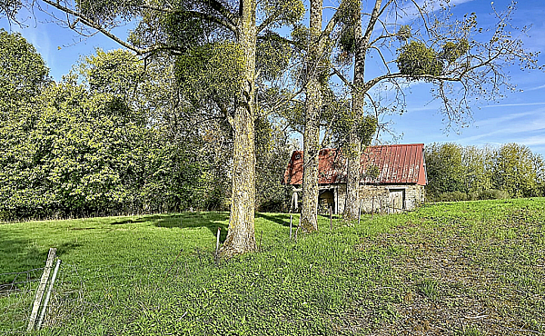 Property_For_Sale_in_France_with_Cle_France_Join_our_mailing_List_LNH13775_1.10
