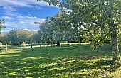 Property_For_Sale_in_France_with_Cle_France_Join_our_mailing_List_DJV06366_n