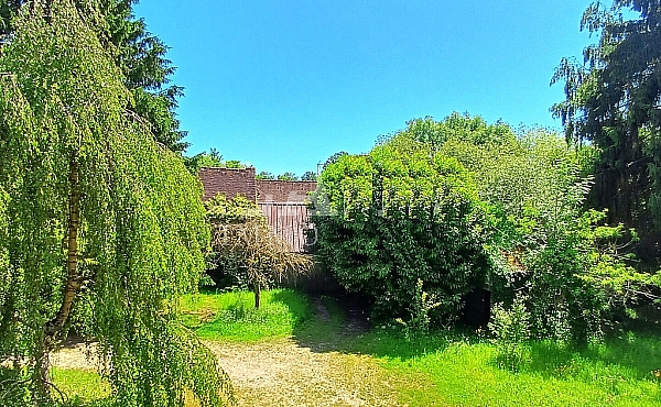 Property_For_Sale_in_France_with_Cle_France_Join_our_mailing_List_DJV06370_p