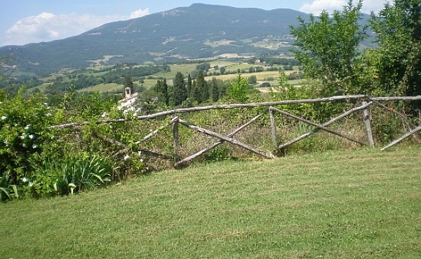 P6050017