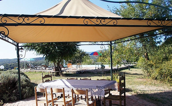 pool from pergola