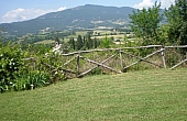 P6050017