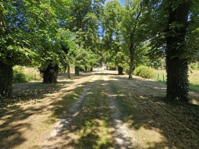 Chateau Plus a House, Outbuildings in 6 Hectares