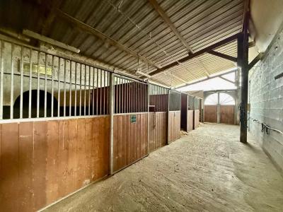 Equestrian Property Situated Near to Pau