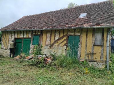 Main House with Barn in 1.5 Hectares of Land