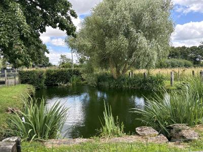 Detached House with Pond in Landscaped Gardens