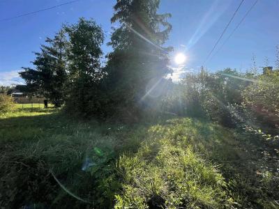 Detached House to Renovate with Garden