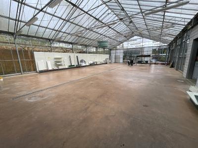 Commercial Premises with Huge Potential