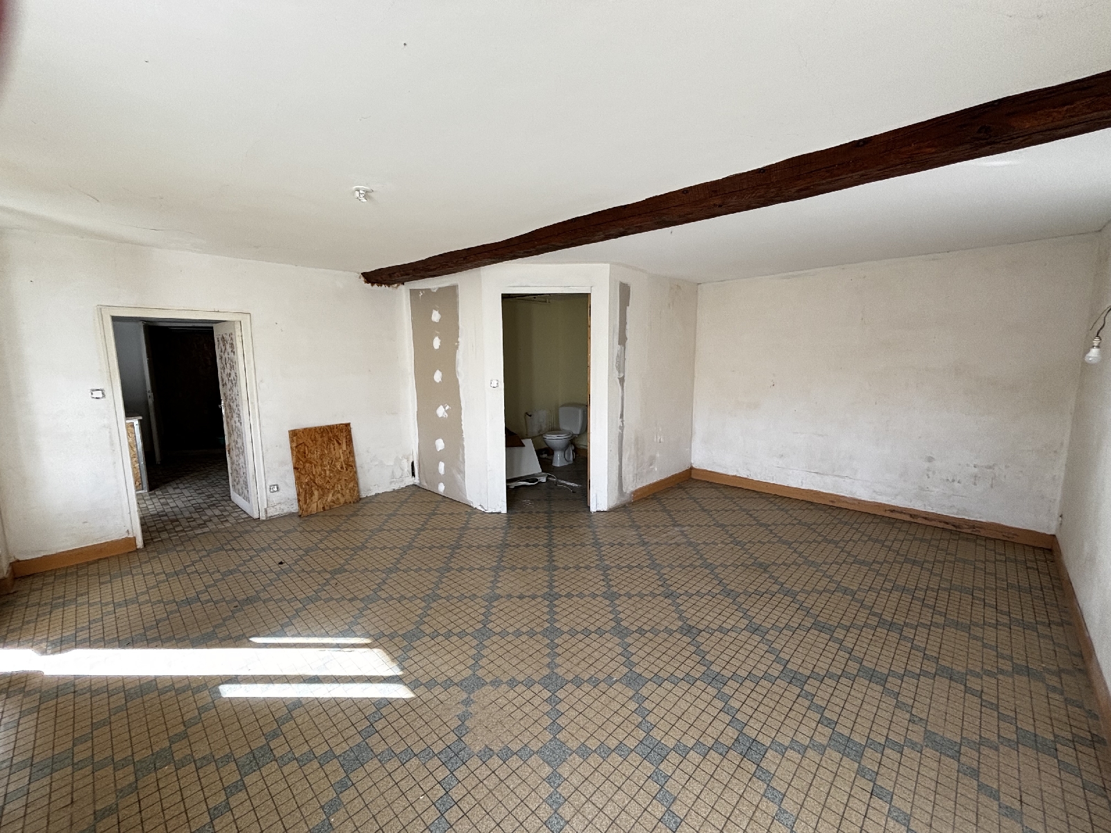 Detached House with Garden and Outbuilding