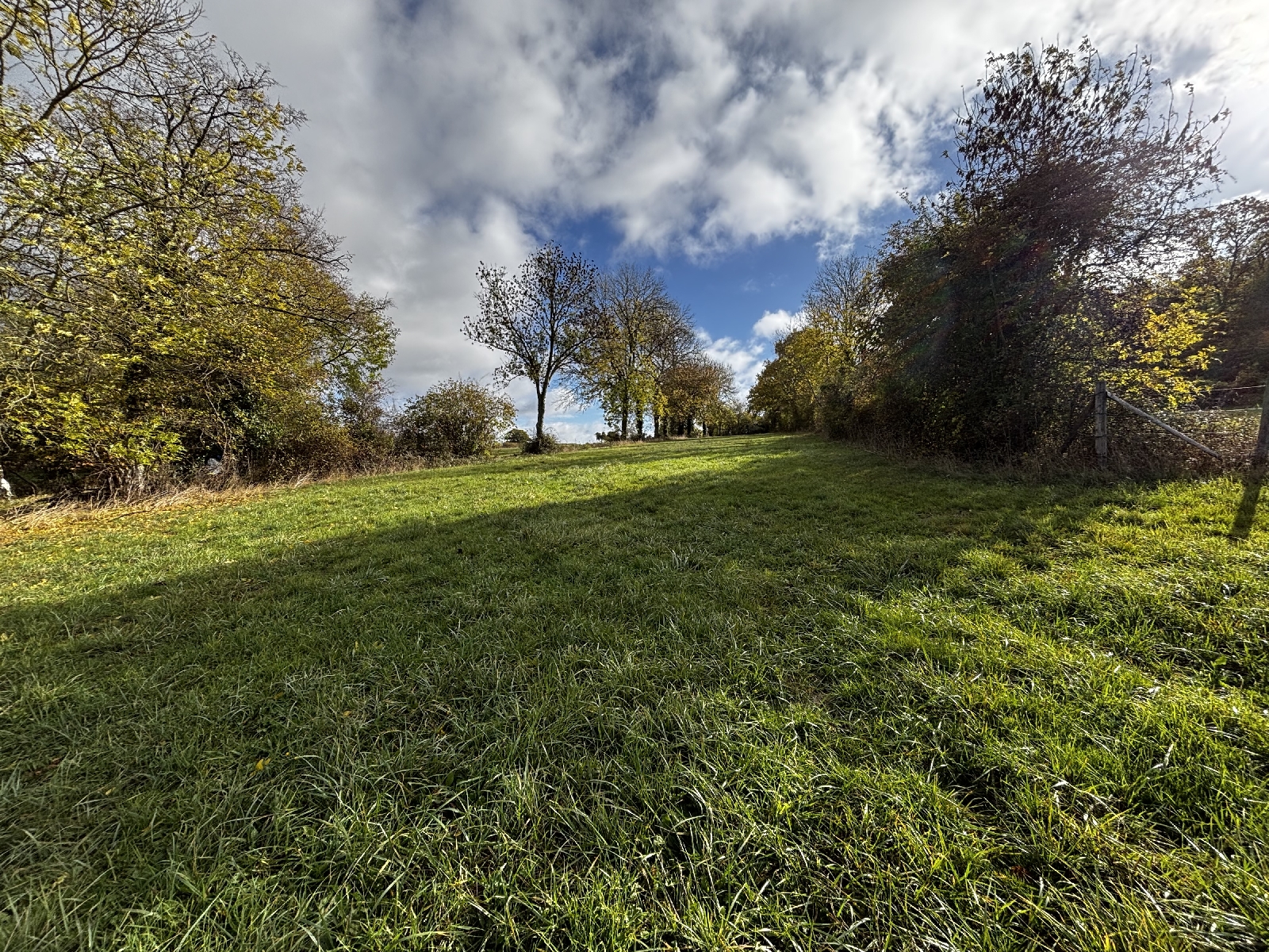 Detached House with Garden and Outbuilding