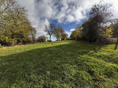 Detached House with Garden and Outbuilding