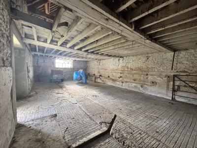 Large Renovation Project with Potential