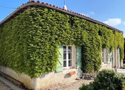 Country House With Guest Gite, Swimming Pool And Outbuildings