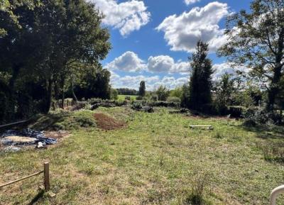 Character Detached House With Barn And Mature Gardens