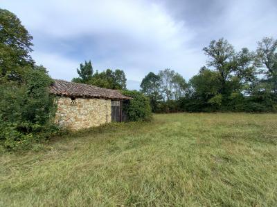 Agricultural land of 2.1 Hectares