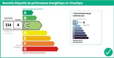 Lovely 18th Century Mansion B&B Potential and Pool