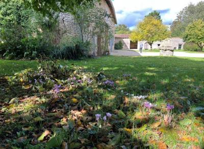 Superb 17th Century House in Over 4 Acres