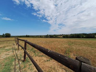 Detached Country House in 7 Hectares with Pond