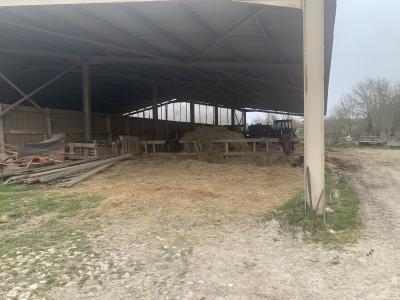 Property For Sale