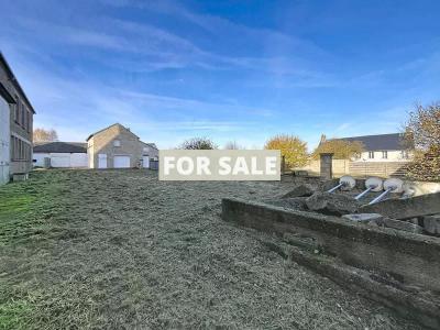 Huge Detached House to Renovate