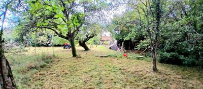 Stone House With Lovely Gardens And Outbuildings