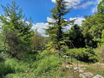 Architect Designed Detached House and Large Garden