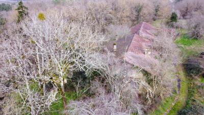 Property For Sale