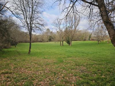 Property For Sale