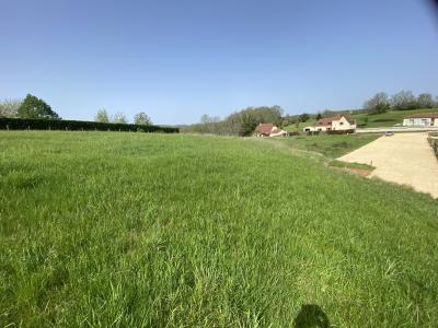 Property For Sale